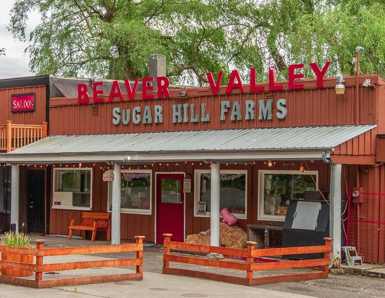 SUGAR HILL FARMS OPENS ITS DOORS