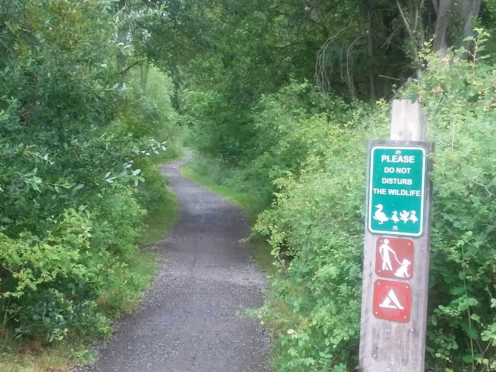 A BLOODY AFTERNOON IN KAH TAI PARK