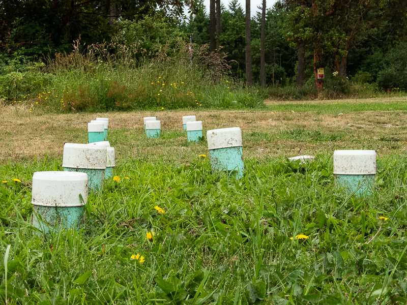 GLIMMERS OF HOPE FOR THE HADLOCK SEWER