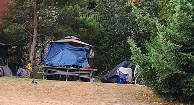 Lines Form in Battle for Future of Fairgrounds