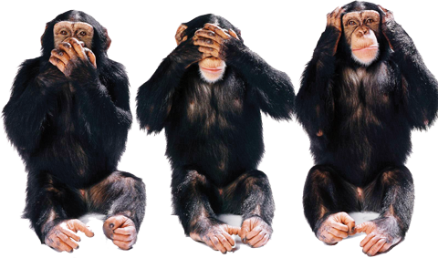 Aiding and Abetting Biden Crimes