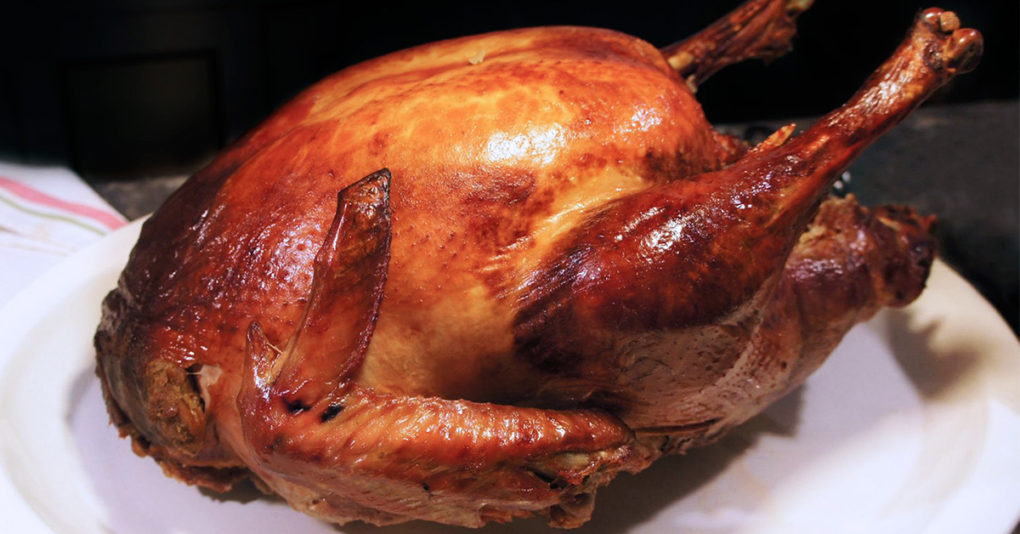 My Sincerest Condolences on the Death of Your Turkey