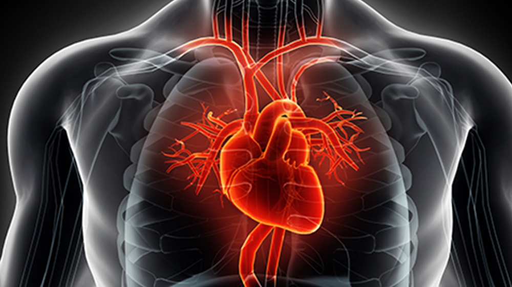 Two More Deaths from Heart Failure Following Pfizer Vax