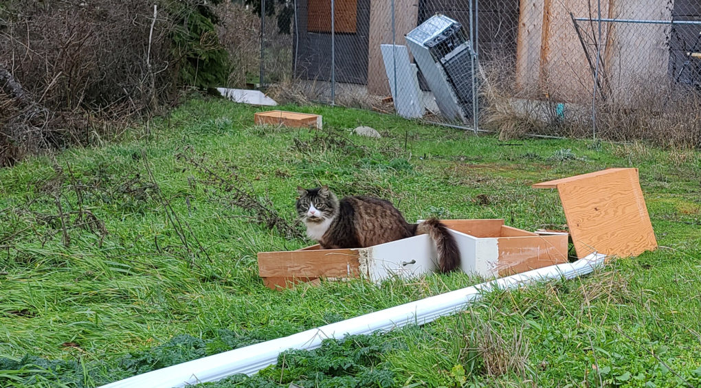 Cherry Street Project Vandalized
