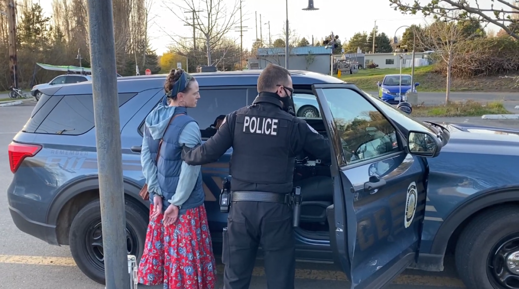 The Arrest of Rachelle Merle: Case Dismissed