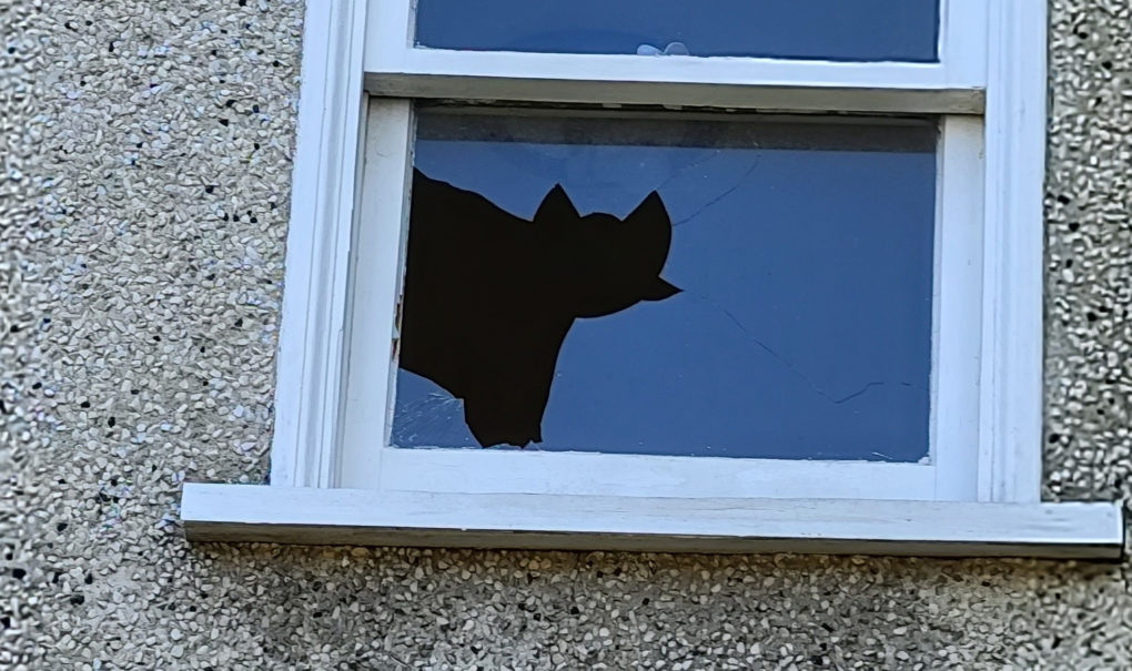 Faber’s Folly/Howard’s Hovel: Cherry St. Project Worse Than It Looks