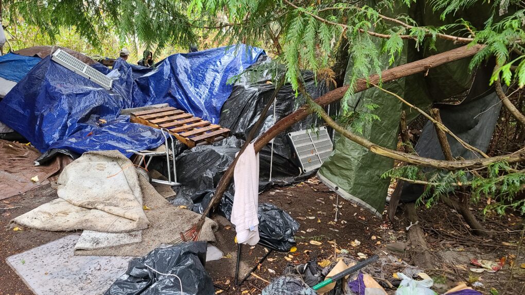 Port Townsend’s Fentanyl Forest: In Photos