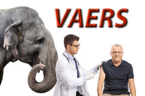 VAERS - The Elephant in the Room