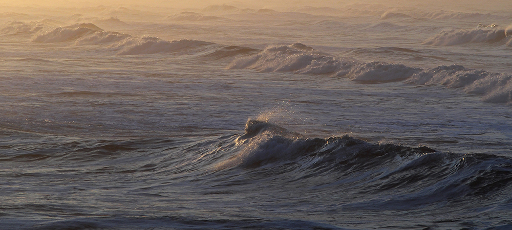 News Briefs & Quick Takes – Ebb & Flow