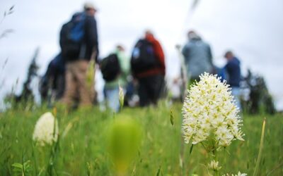 How the Golf Course Saved the Prairie (and the Olympics Got Their Goats)