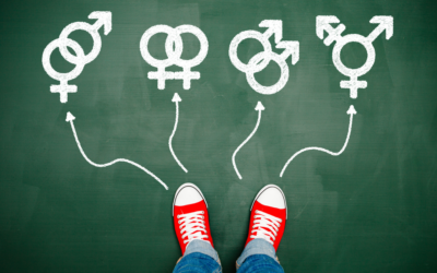 Inclusivity or Indoctrination?   One Mother’s Journey Through Gender Stereotyping Policies in PT Schools