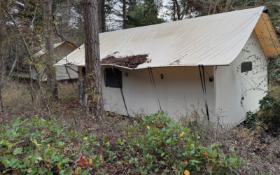 Why the Fort Worden PDA Failed and the Lessons To Be Learned