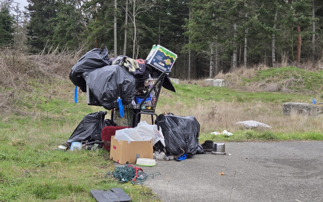Correcting Mayor Faber on Evans Vista, Port Townsend’s “Meth Meadows”